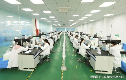 砥礪前行 打造生物醫藥民族品牌，引領技術研發與轉讓新篇章